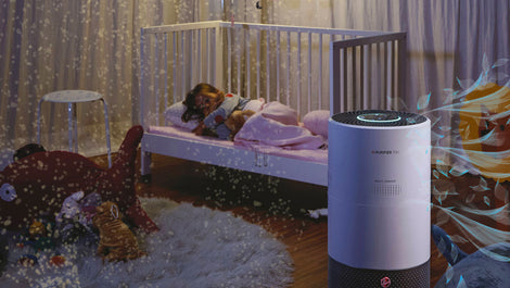 How to get rid of allergens in the home